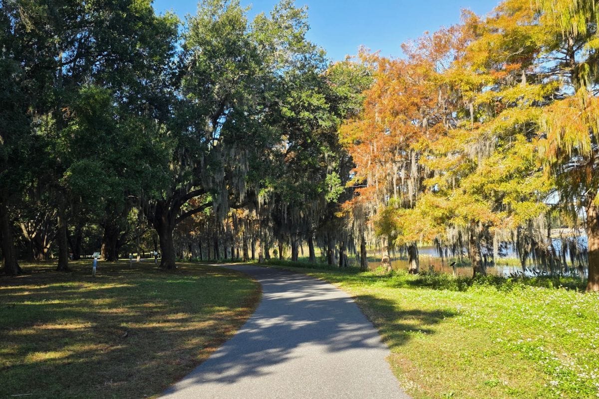 Peaceful walking path through trees symbolizing life decisions like cremation vs burial